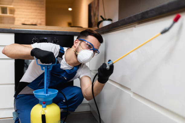 Best Affordable Pest Control Services  in Stanley, WI