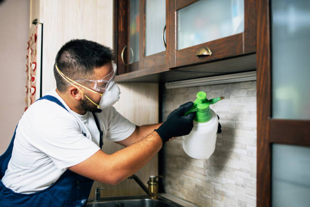 Best Exterminator Services  in Stanley, WI