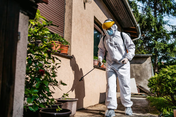 Best Bed Bug Extermination  in Stanley, WI