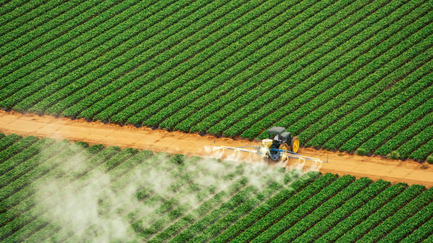 Best Commercial Pest Control Services  in Stanley, WI